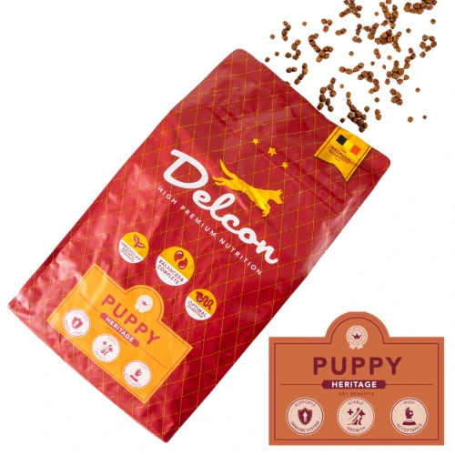 Delcon puppy.webp