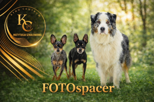 FOTOspacer